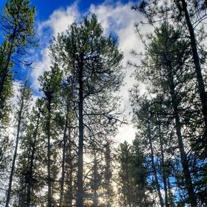 Meet your Posher, Shauna